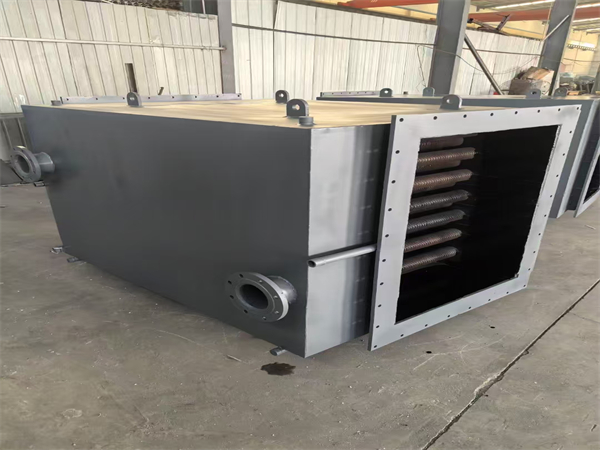 锅炉节能器 - 沧州温博节能设备有限公司图片2